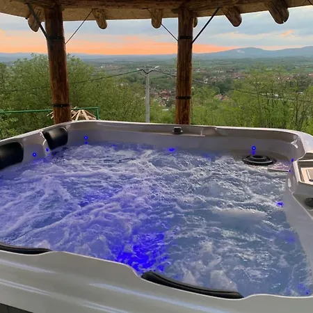 Boja Zalaska - Drveni * Ягодина